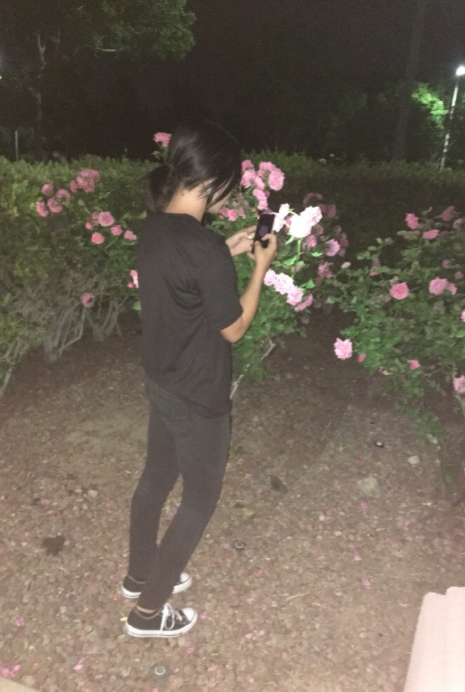 grunge tumblr roses pink sad art photography...