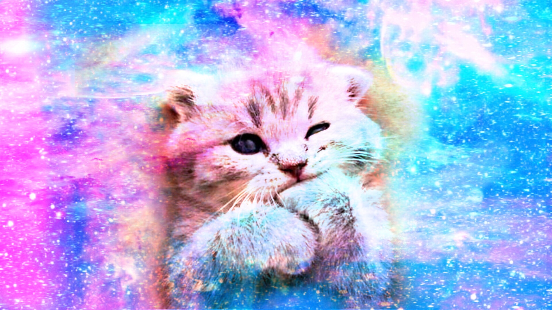 Cute kitten galaxy pink wallper background wallpeper...