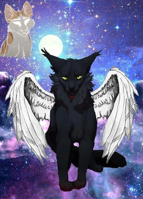 Fallen Leaves And Hollyleaf Image By Ray Fallen Leaves And Hollyleaf Image By Ray