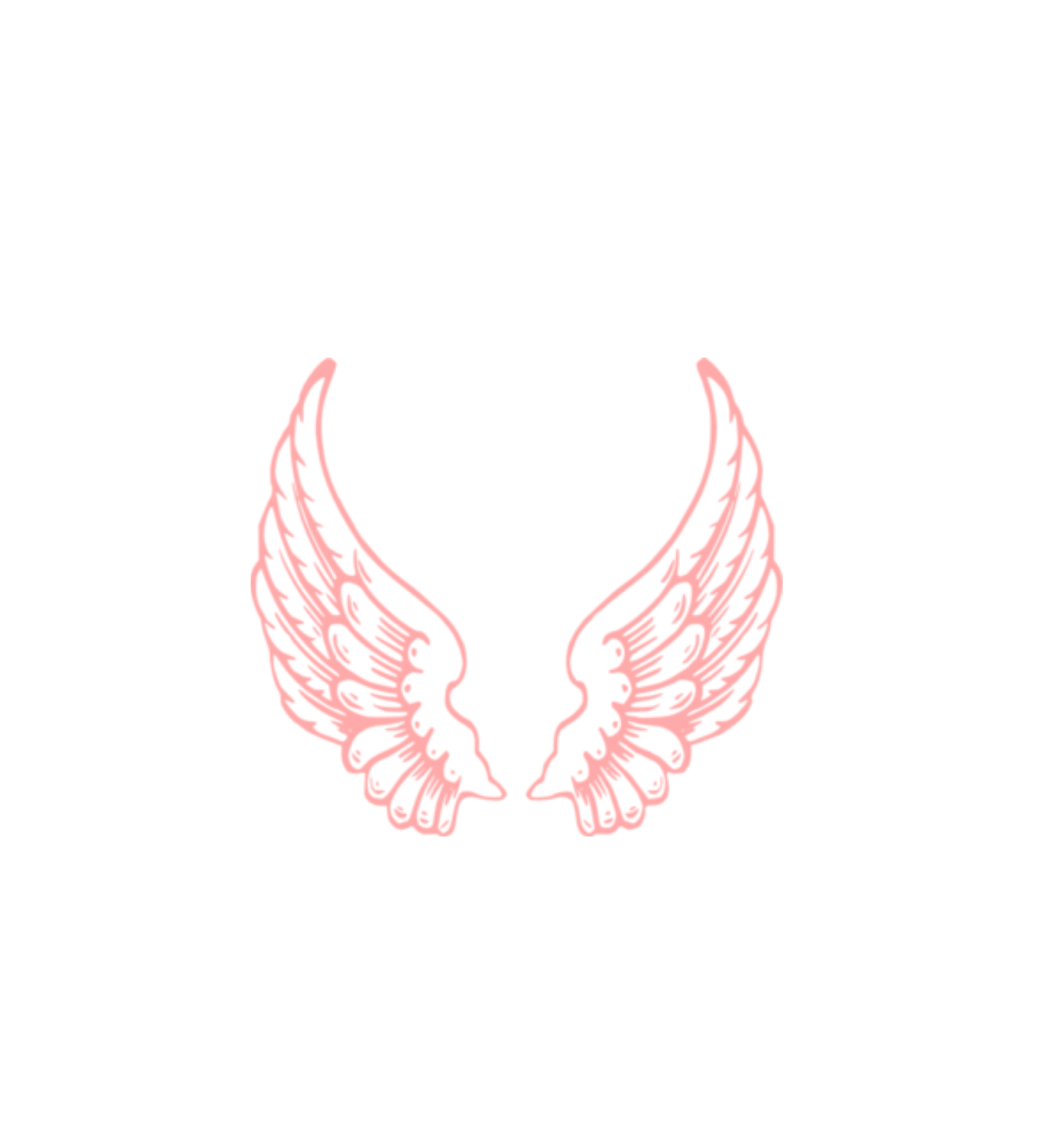 wings freetoedit #wings#FreeToEdit sticker by @aljarbou__