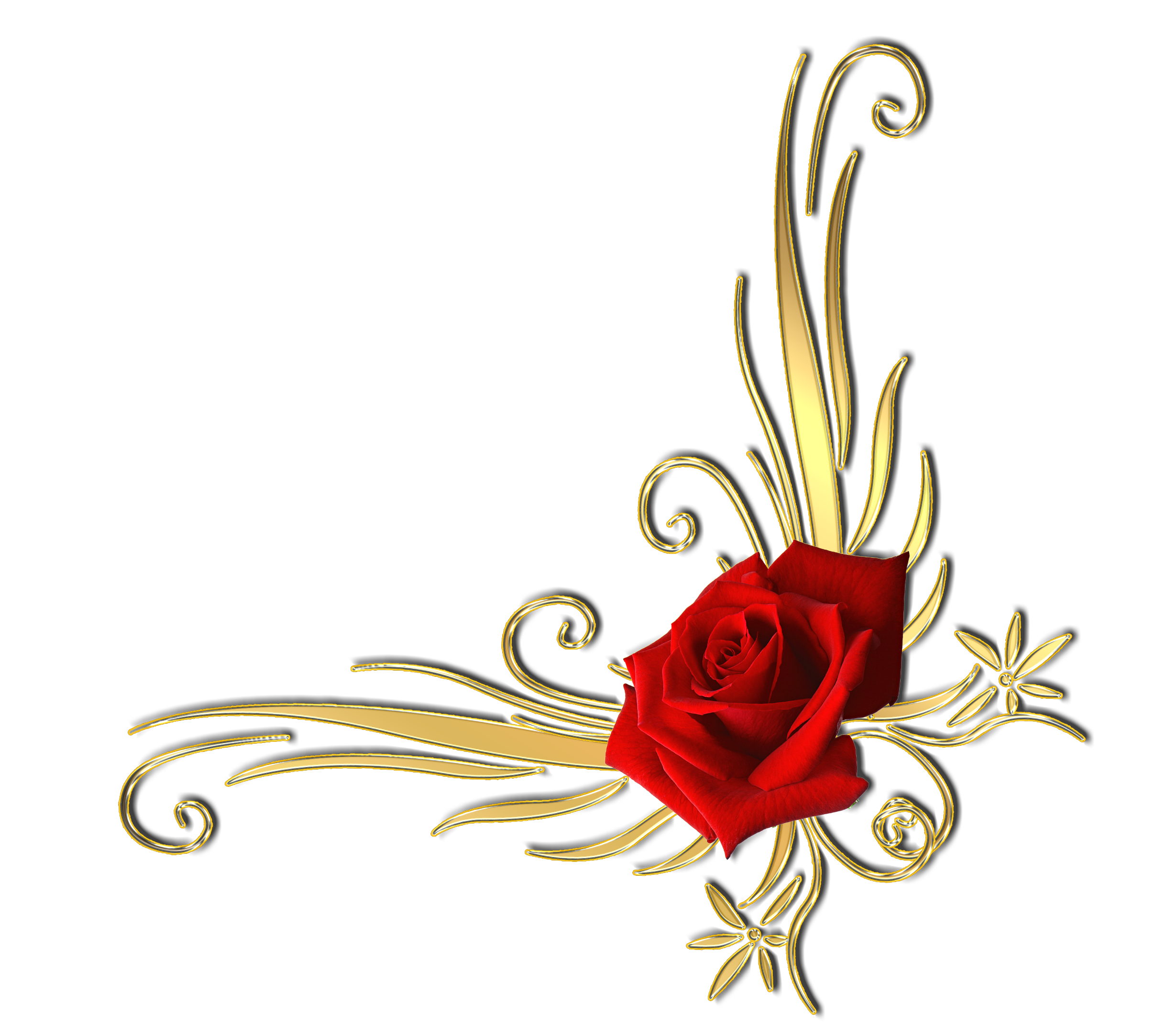 Sex Beautiful Rose Roses Sticker By Magomedova984