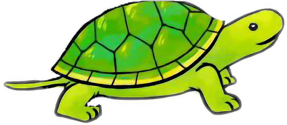 turtles freetoedit #turtles sticker by @meganallen7