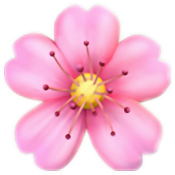 flower freetoedit #flower #freetoedit sticker by @_rccd_