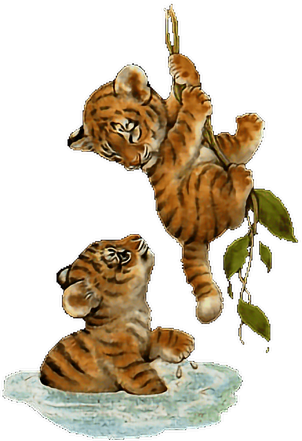 Ftestickers Cute Freetoedit ftestickers Sticker By sona75