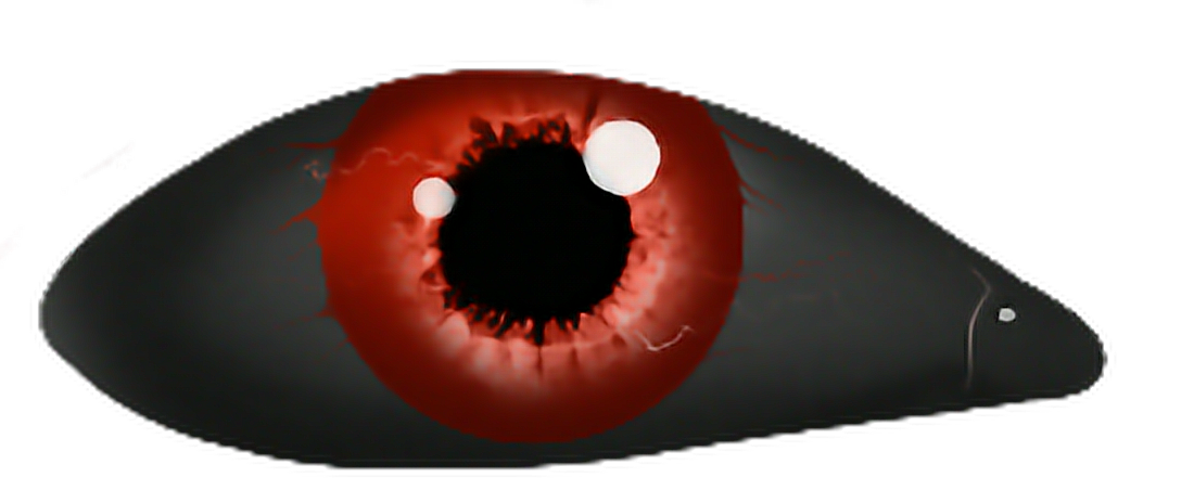 Eye Ojo Red Sasuke Sharingan Rojo Haloween Black Dark