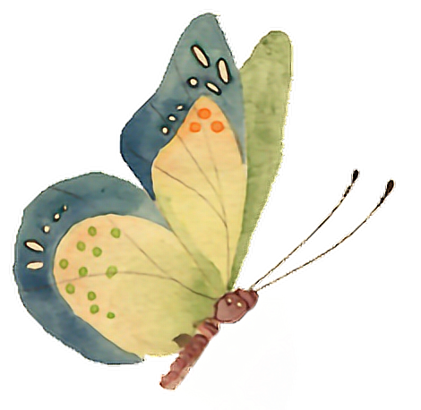 butterfly chinese asian ftestickers sticker by @sqtippy