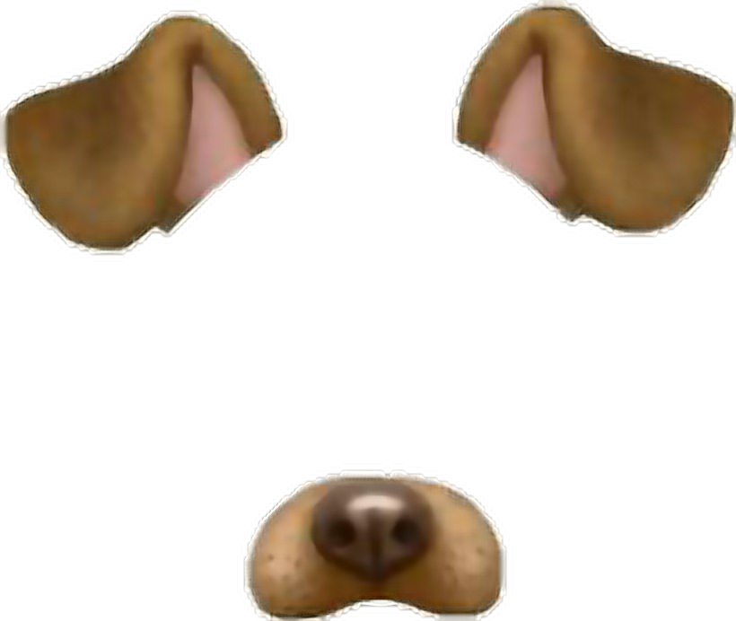snapchat snapchatfilter dog sticker by brendaelizabethma