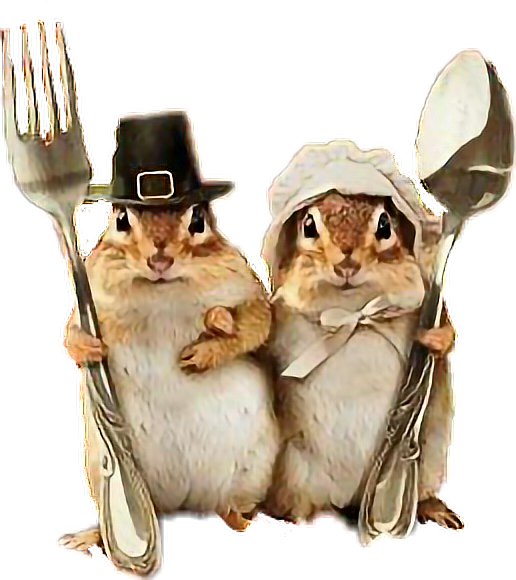 Две мыши в шапках