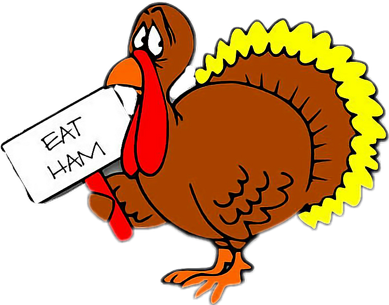 fteturkeys turkeys freetoedit sticker by @rabbit1barley