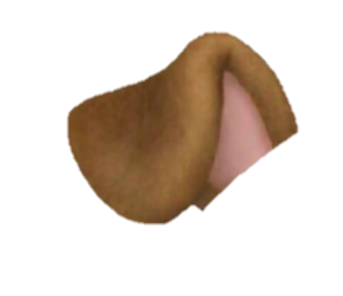 Dog Snapchat Filter Nofilter Sticker By thesmilingkiller dog-snapchat-filter-nofilter-sticker-by-thesmilingkiller