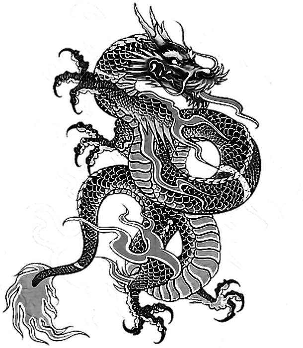 Tattoo Irezumi Dragon Dragonballz Yakuza Ninja Backtatt