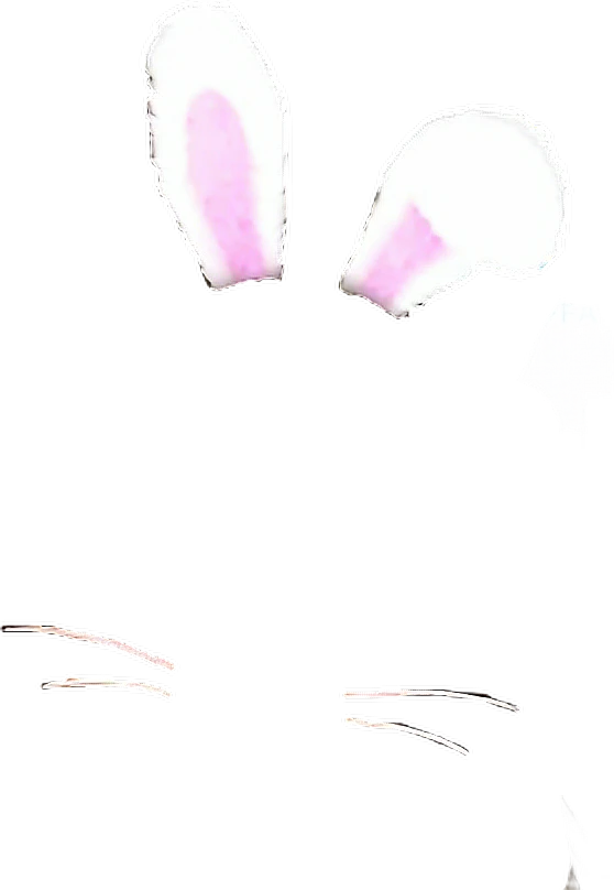ウサギうさみみうさぎ兎rabbitrabbitうさ耳耳ケモ耳 Sticker By Yurika ウサギうさみみうさぎ兎rabbitrabbitうさ耳耳ケモ耳 Sticker By Yurika