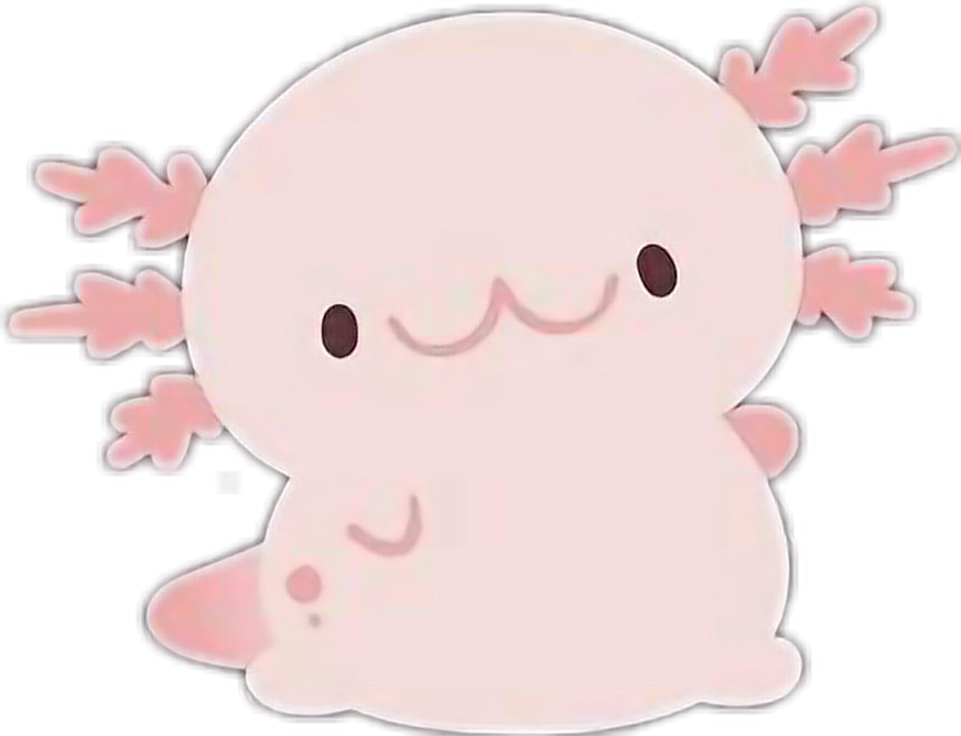 Axolotl Cute Kawaii Png