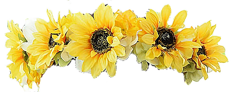 Flowers Sunflower Flowerscrown Crown Sticker By Flowers Sunflower Flowerscrown Crown Sticker By