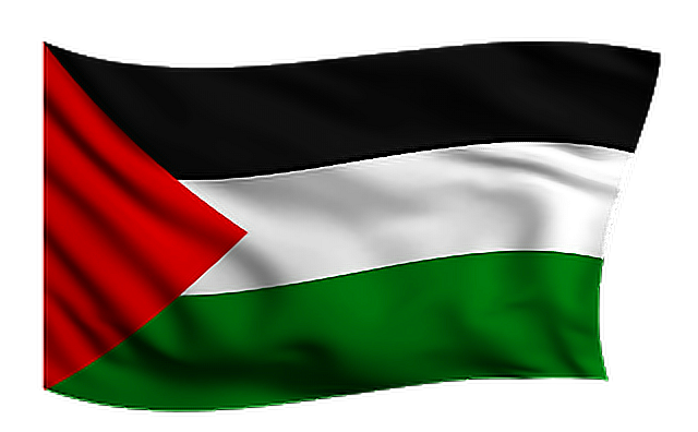 Palestine Flag Palestine Flag Palestine Flag Waving Png And Vector ...