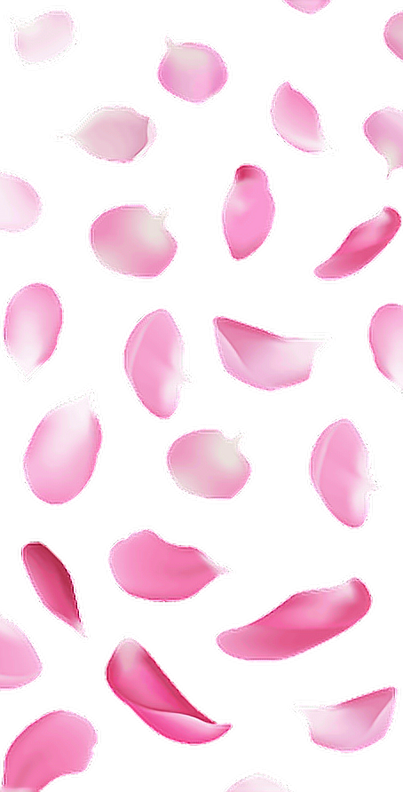 rose petals pink flowers freetoedit sticker by @that_pink