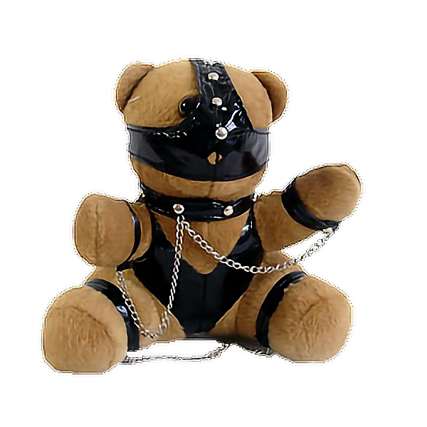 Bondage teddy bear photo 992